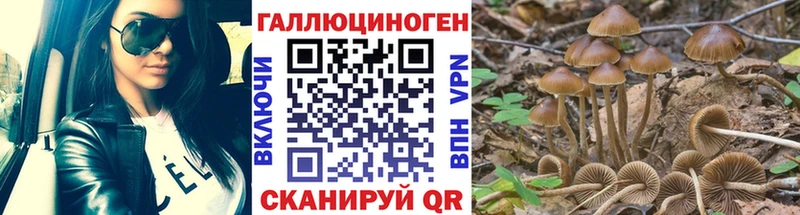 как найти наркотики  Константиновск  Галлюциногенные грибы Psilocybe 